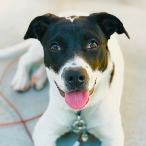 Meet your Posher, Jazmine